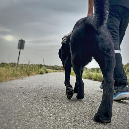 Javier y su perro guía Xudán