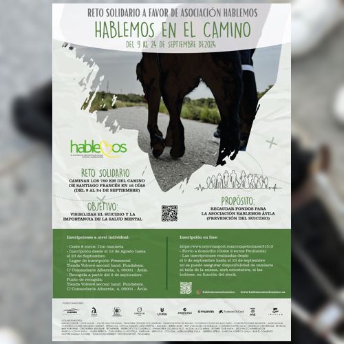 Cartel del Reto Solidario «Hablemos en el Camino»